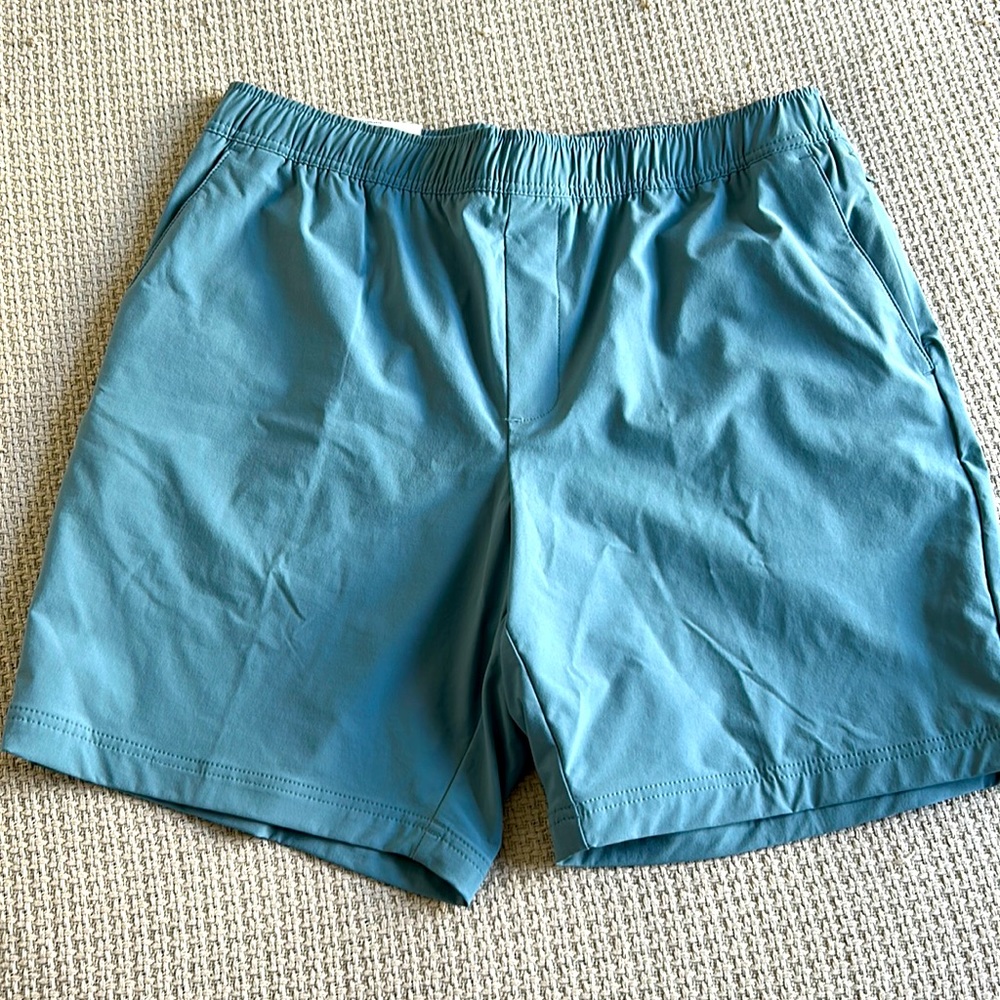 Apt. 9 Blue Nylon/Spandex shorts size Large 34-36” waist.